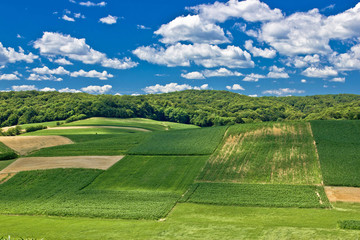 Beautiful green scenery landscape in spring time IV