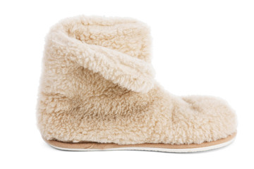 Home sneakers tovechey of hair on a white background