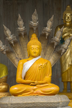 buddha image statue