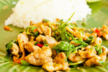 Thai Basil Fried Rice with chicken
