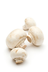 Champignon on a white background