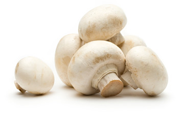 Champignon on a white background