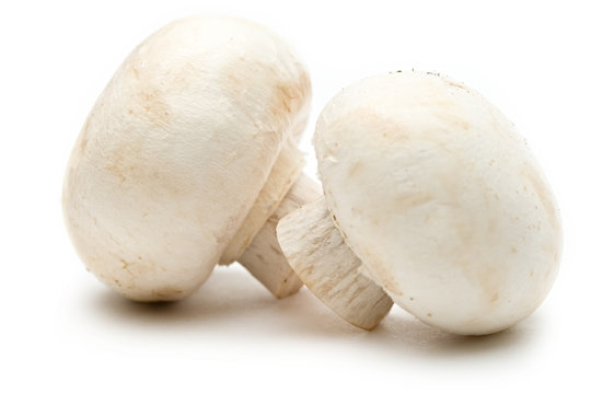 Two champignon on a white background