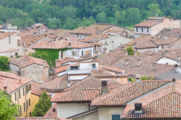 Fototapeta na wymiar Panoramic view of Bobbio. Emilia-Romagna. Italy.