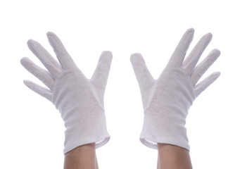 two female hands with white gloves isolated
