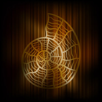 vector background with shell and stripes