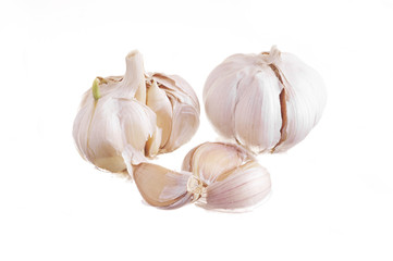 garlic on a white background