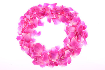 Fototapeta na wymiar frame of pink rose petals