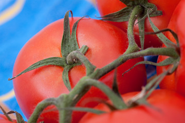 Pomidory © Magdziak Marcin