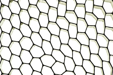 A close up perspective view of cleaned bee honeycomb
