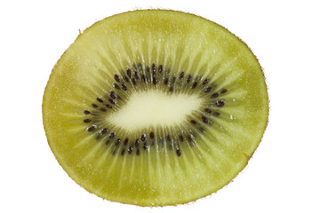 Kiwi © Magdziak Marcin