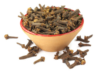 Cloves on clay pot