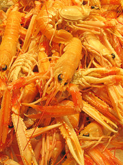 escamarlán