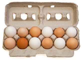 Egg Variety