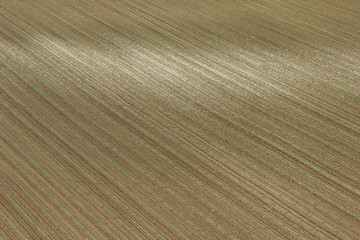 Campagna delle Marche