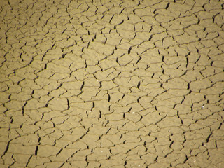 dry