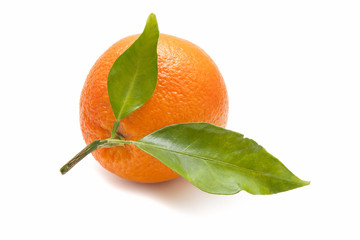 fresh orange