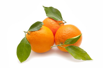 fresh orange