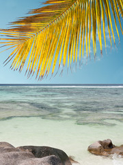 lagon Seychellois