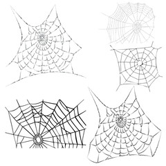 vector cobwebs