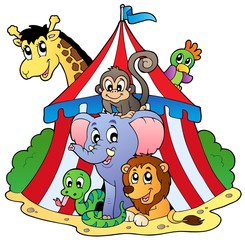 Naklejka premium Various animals in circus tent