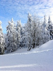 Obraz premium winter view
