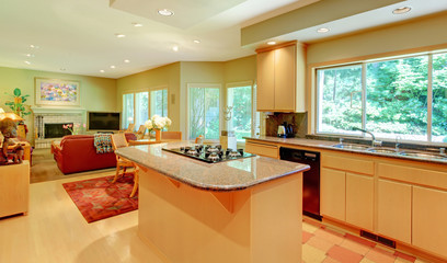 Kitchen and living room with many windows.