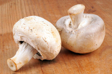 Deux champignons de Paris