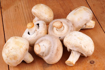 Des champignons de Paris