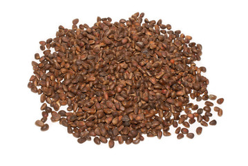Many small brown pine nuts isolated on white