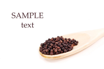 Wooden Spoonful of Peppercorn with Space for Text