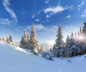 Beautiful winter landscape with snow covered trees