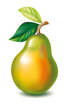 Pear with the leaves