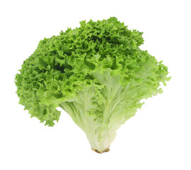 lettuce leaves on white