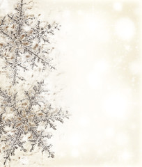 Snowflake beige decorative border