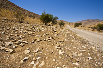 Meandering Road