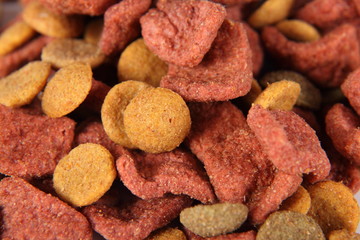 croquettes pour chien