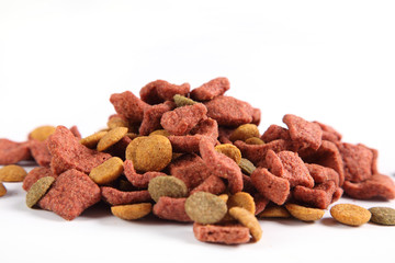 croquettes pour chien
