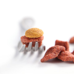 croquettes pour chien