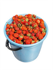 Full bucket of Strawberry isolated against the  white background