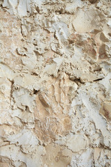 Traditional wall plaster