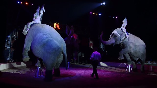 i giganti del circo