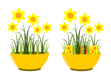 daffodils in bowl