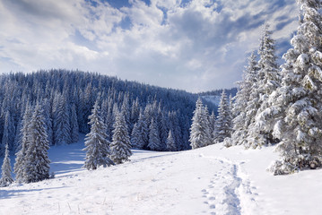 Obraz premium Beautiful winter landscape in the mountains