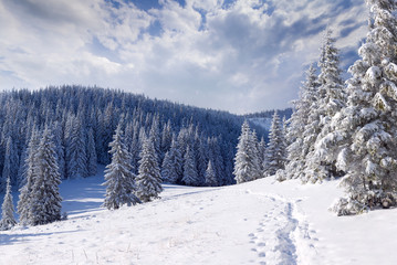 Beautiful winter landscape in the mountains