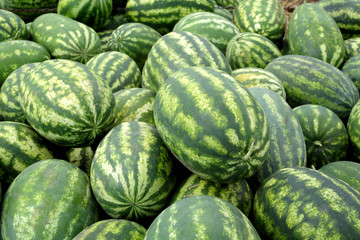 Heap of watermelon