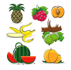 fruits of summer isolated on white background