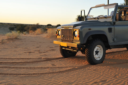 Safari 1