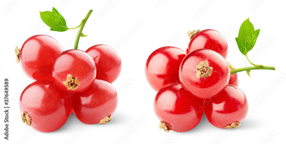 Aufkleber isolated berries. two images of red currants isolated on white background