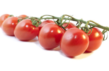 grappe de tomates cerise rouge